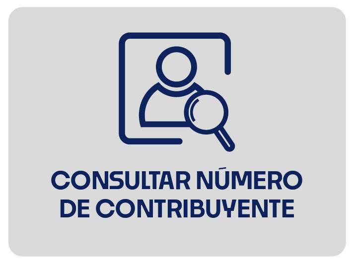 Consultar Número de Contribuyente